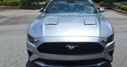 WhatsApp Image 2024-07-06 at 21.08.19_a4f64ee7